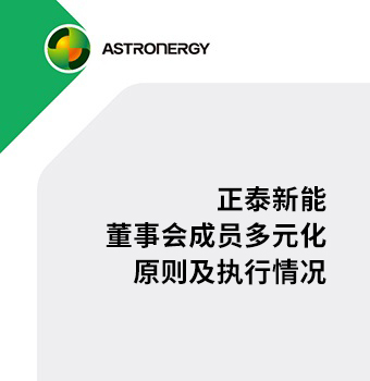 尊龙凯时新能董事会成员多元化原则及执行情况